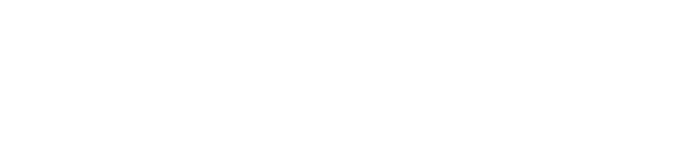 nvs_logo_wide3-white Nic Von Schneider Logo